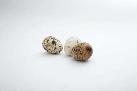 Quail eggs lie on a white background Stock Photos