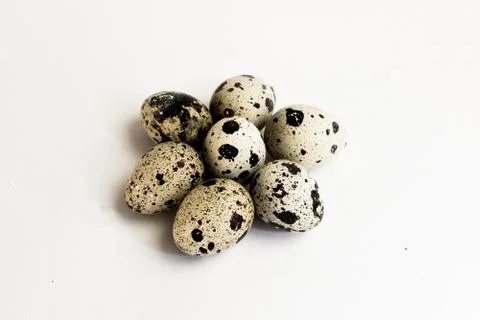 Quail eggs on a light background Stock Photos