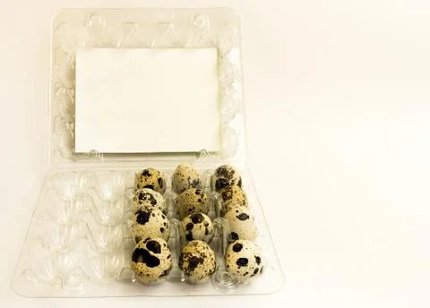 Quail eggs on a light background Stock-Fotos