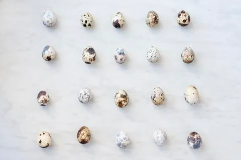 Quail eggs on a marble surface Stock Photos