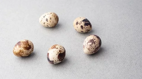 Quail eggs move across the table, out of the frame. Stock Footage 151036265