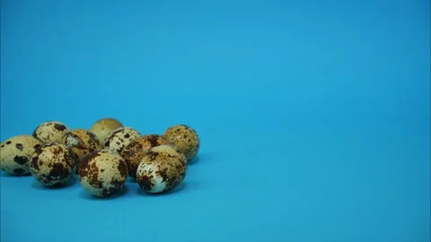 Quail eggs moving from left to right and otherwise, then leaving the frame Stock Footage 314342521