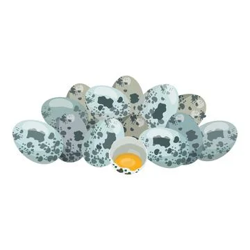 Quail eggs nest with one broken egg Stock Illustration
