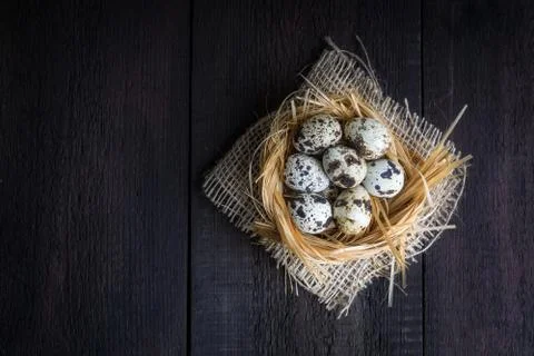Quail eggs in nest Stock Photos