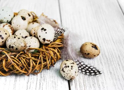 Quail eggs in nest Foto stock