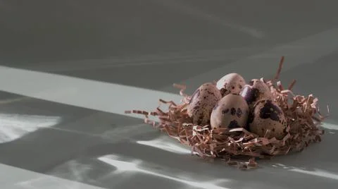 Quail eggs in the nest stand on the table in the sun. Highlights and shadows Stock Photos