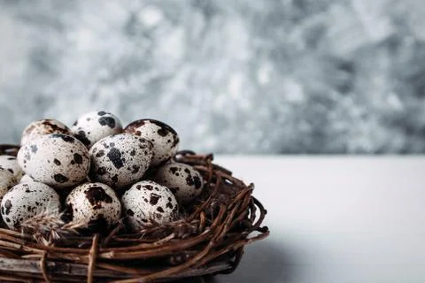 Quail eggs in nest on table Stock Photos