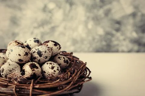 Quail eggs in nest on table Stock Photos