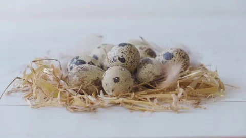 Quail eggs in a nest on a white background Stock Footage 150124419