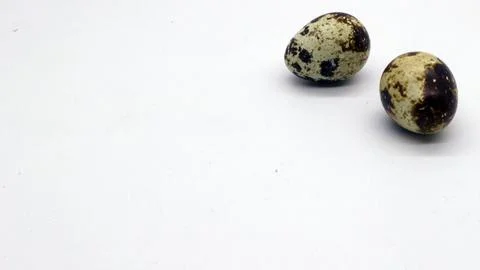 Quail eggs with nice patterns Stock Photos