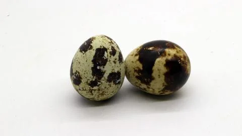 Quail eggs with nice patterns Stock Photos