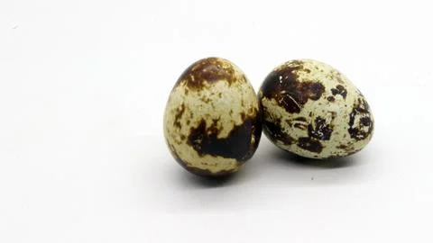 Quail eggs with nice patterns Stock Photos