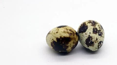 Quail eggs with nice patterns Stock Photos