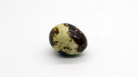 Quail eggs with nice patterns Stock Photos