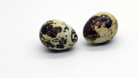 Quail eggs with nice patterns Stock Photos