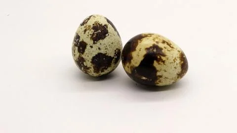 Quail eggs with nice patterns Stock Photos