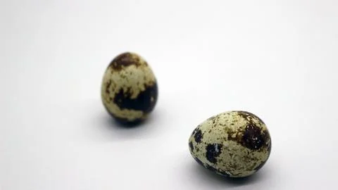 Quail eggs with nice patterns Stock Photos
