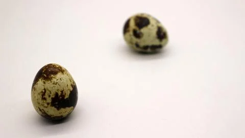 Quail eggs with nice patterns Stock Photos