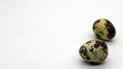 Quail eggs with nice patterns Stock Photos
