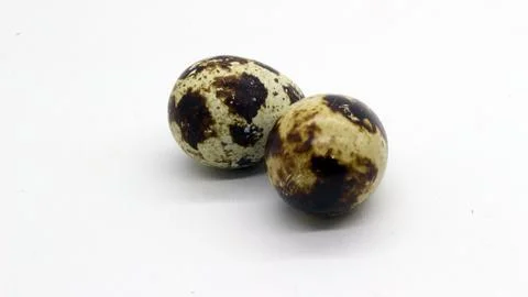 Quail eggs with nice patterns Stock Photos