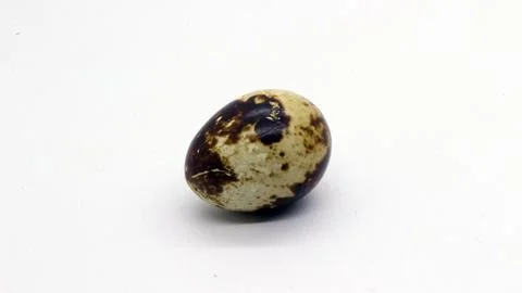 Quail eggs with nice patterns Stock Photos