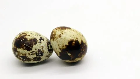 Quail eggs with nice patterns Stock Photos