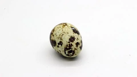 Quail eggs with nice patterns Stock Photos