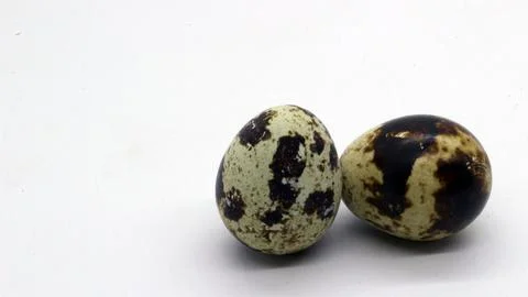 Quail eggs with nice patterns Stock Photos