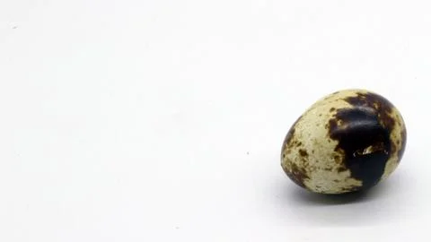 Quail eggs with nice patterns Stock Photos