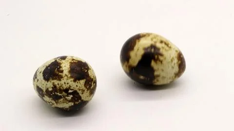 Quail eggs with nice patterns Stock Photos