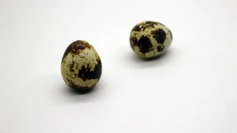 Quail eggs with nice patterns Stock Photos