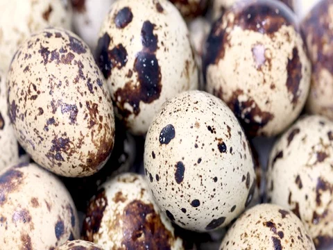 Quail Eggs or Bird Eggs, Rotating Macro Shot Stock Footage 75022816