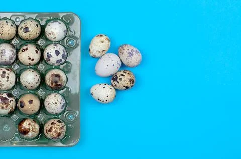 Quail eggs in a package on a blue background Stock Photos