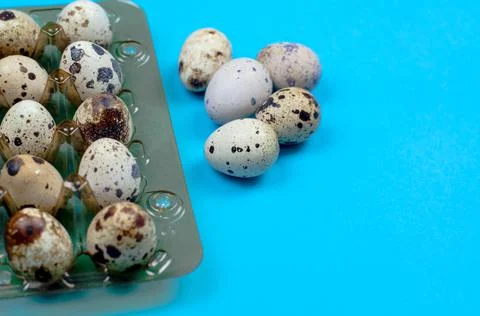 Quail eggs in a package on a blue background Stock Photos