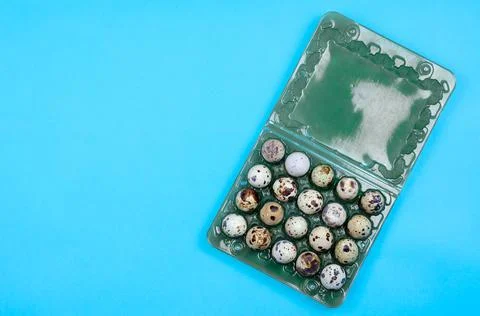 Quail eggs in a package on a blue background Stock Photos