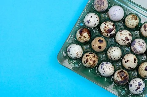 Quail eggs in a package on a blue background Stock Photos