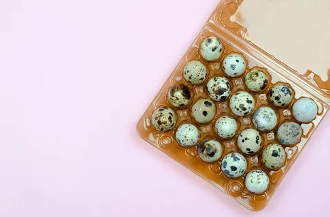 Quail eggs in a package on a pink background Stock Photos