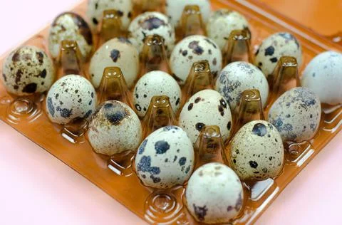 Quail eggs in a package on a pink background Stock Photos