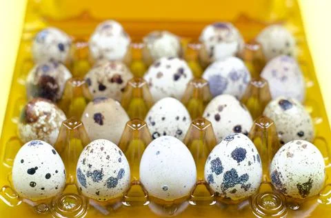 Quail eggs in a package on a yellow background Stock Photos