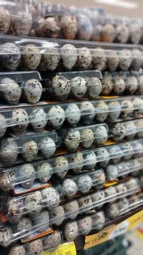 Quail Eggs Packed In Plastic Containers Foto stock