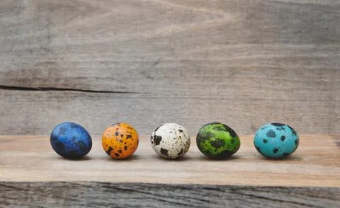Quail eggs painted for easter Stock-Fotos