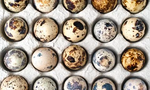 Quail eggs in a paper cell. Stock Illustration