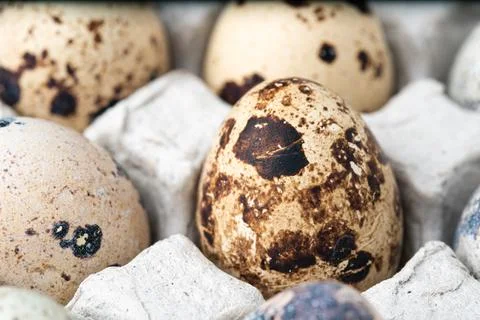 Quail eggs in a paper cell. Stock Illustration