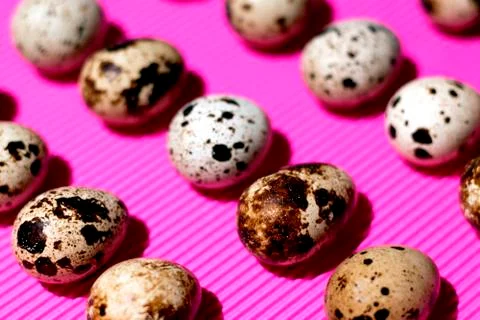 Quail eggs pattern on a pink background Stock Photos