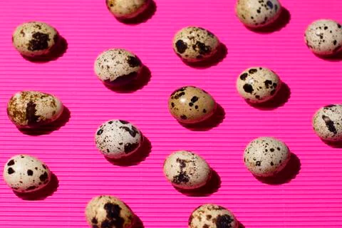 Quail eggs pattern on a textured pink background Stock Photos