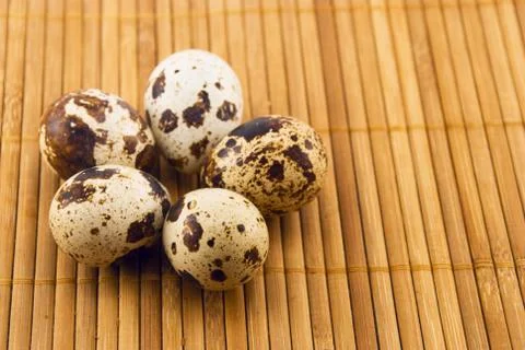 Quail eggs Stock Photos