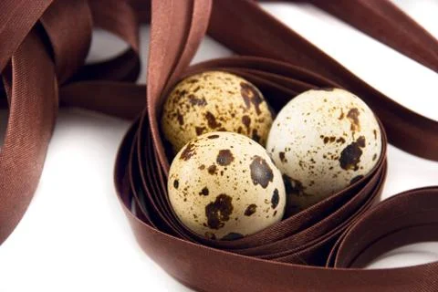 Quail eggs Stock Photos
