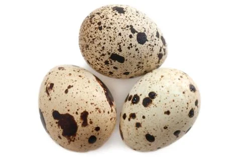 Quail eggs Stock Photos