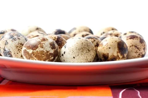 Quail eggs Foto stock