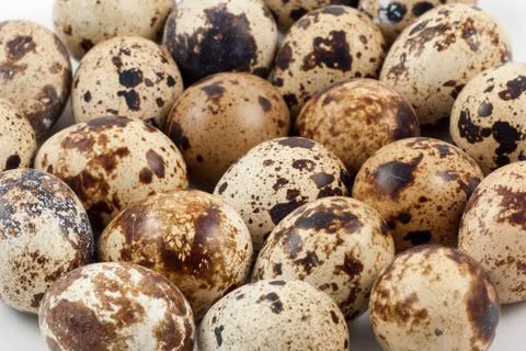 Quail eggs Foto stock